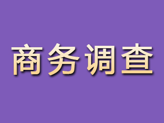 枣阳商务调查